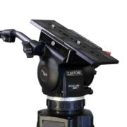 Focus 22 Cine