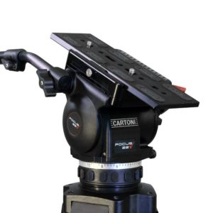 Focus 22 Cine